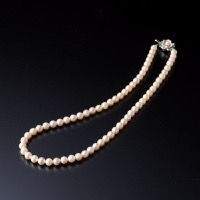 クリックすると詳細を表示します