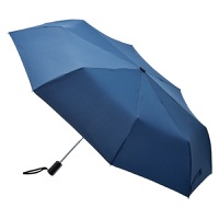 クリックすると詳細を表示します