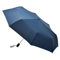 クリックすると詳細を表示します