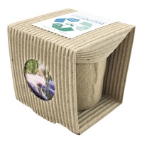 クリックすると詳細を表示します